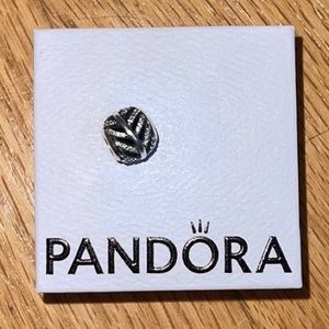 Pandora charm